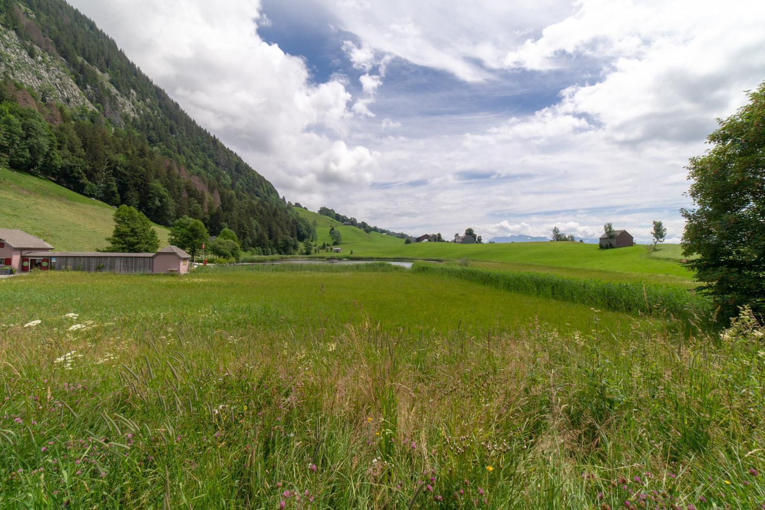 Wiesel Wildhaus Exteriör bild