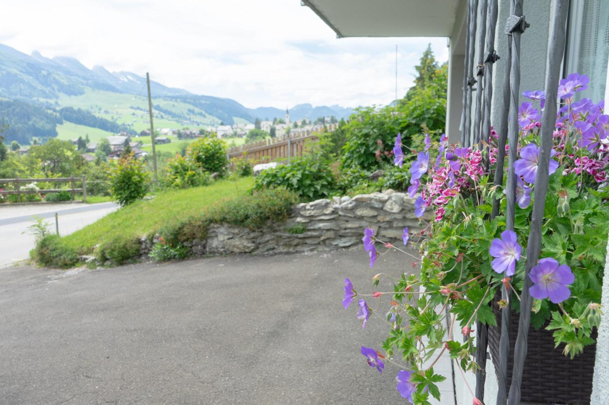 Wiesel Wildhaus Exteriör bild