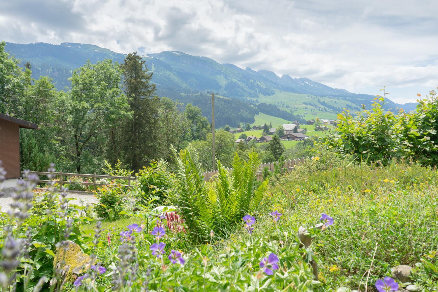 Wiesel Wildhaus Exteriör bild